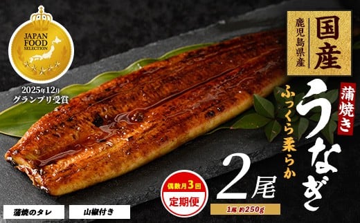 
            【全３回定期便・偶数月お届け】鹿児島県産 うなぎ 蒲焼 じっくり焼き約250g×2尾(大新/Z060-1695) 鰻 蒲焼 国産 丑の日 うな重 無頭 ギフト ふっくら 小分け レンジ 簡単 頒布会 小分け うな丼 ウナギ 冷凍
          