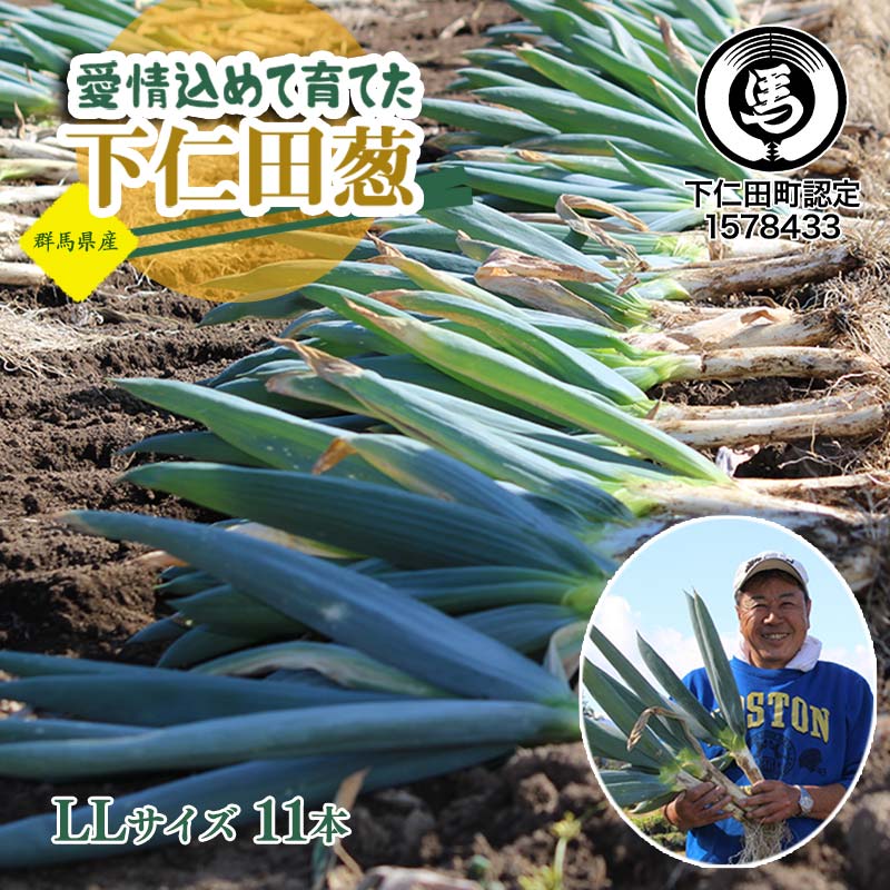【ふるさと納税】愛情込めて育てた下仁田葱（LLサイズ 11本） とろける 甘い ねぎ ネギ 王様ねぎ 殿様ねぎ 特産 栄養たっぷり ブランド 上州ねぎ すきやき F21K-567