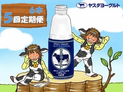 【5ヶ月定期便】ヤスダヨーグルト 800g×6本×5回 大ボトル 無添加 搾りたて こだわり生乳 濃厚 飲むヨーグルト のむよーぐると ヨーグルト 1B55046