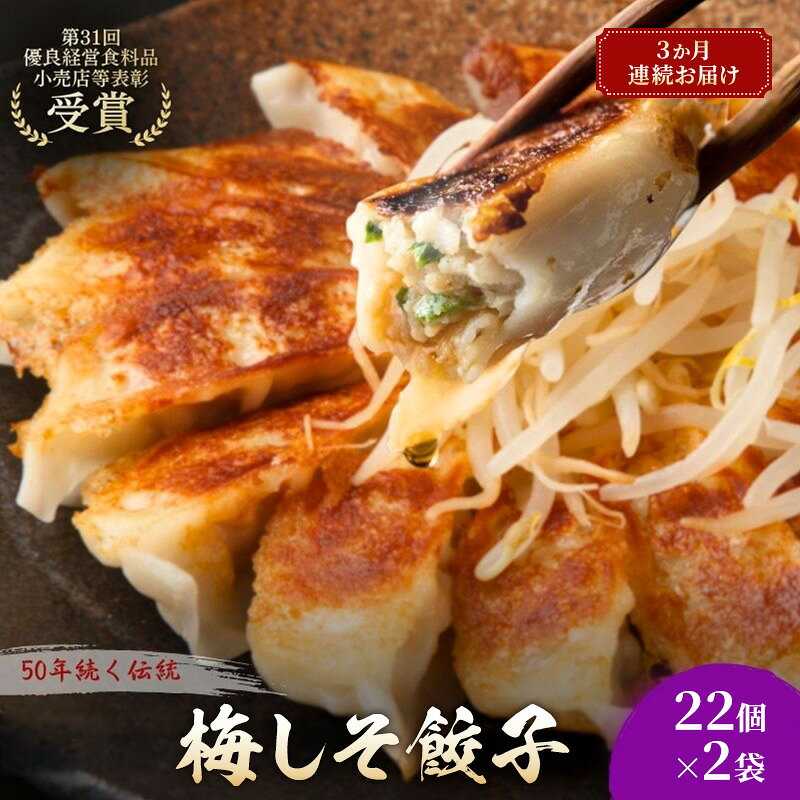 【ふるさと納税】梅しそ餃子44個(22個×2袋)3か月連続お届け 餃子 冷凍餃子 冷凍ギョーザ 手作り餃子 ギョーザ 点心 中華 中華料理 惣菜 簡単調理 加工食品 静岡県 森町