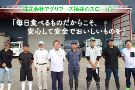 【令和7年産・新米】 おおかわさんちの華越前 5kg 精米 [A-10809]