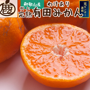 ＜先行予約＞＜12月発送予定＞家庭用 濃厚みかん7kg+210g（傷み補償分）【わけあり・訳あり】【光センサー選果】※北海道・沖縄・離島配送不可 / 和歌山 ミカン オレンジ 柑橘 フルーツ 果物 くだもの 旬 有田みかん【ikd708-3】