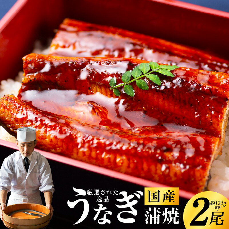【ふるさと納税】国産 うなぎ 蒲焼 炭火焼き 約125g × 2尾 合計 250g 秘伝のたれ 冷凍 お取り寄せ グルメ 備長炭 手焼き 活鰻 厳選 鰻職人 レンジ対応 湯煎 簡単調理 パリッと ふんわり 鰻 うな重 うな丼 ひつまぶし うなぎ蒲焼 泉佐野市 送料無料