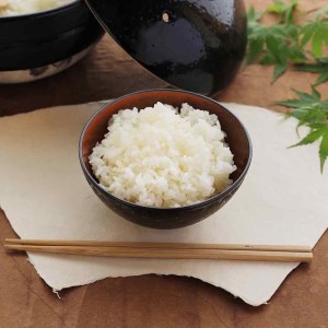 令和8年産新米【有機栽培米】 丹波篠山産コシヒカリ 2kg 3袋 BA17 白米 100％単一原料米