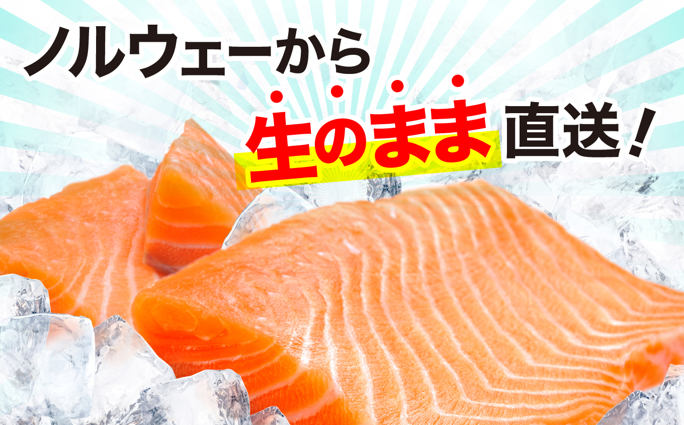 アイスバーグサーモン（アトランティックサーモン）　約1kg（約200g×5袋）| アイスバーグサーモン アトランティックサーモン 産地直送 冷凍 お取り寄せ サーモン 切り身 北欧 ノルウェー オメガ
