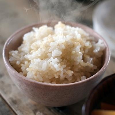 ふるさと納税 小郡市 定期便6回 1等級米 真空パック 玄米 ヒノヒカリ3合(450g)×10袋[No5354-0667]