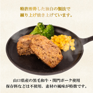 ハンバーグ 10個 冷凍 ハンバーグ 惣菜 肉 おかず MB003