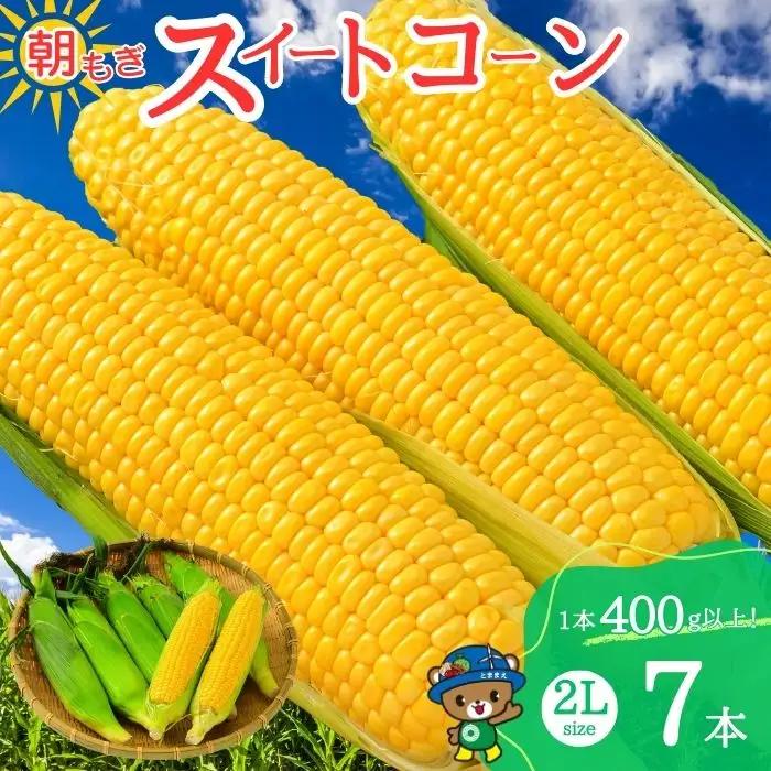 【2026年8月上旬から発送】北海道とままえ産 スイートコーン 2Lサイズ 7本 とうもろこし 北海道産 先行 予約 受付 甘い 旬 産地直送 野菜 冷蔵 北海道 苫前町 とままえ rum10