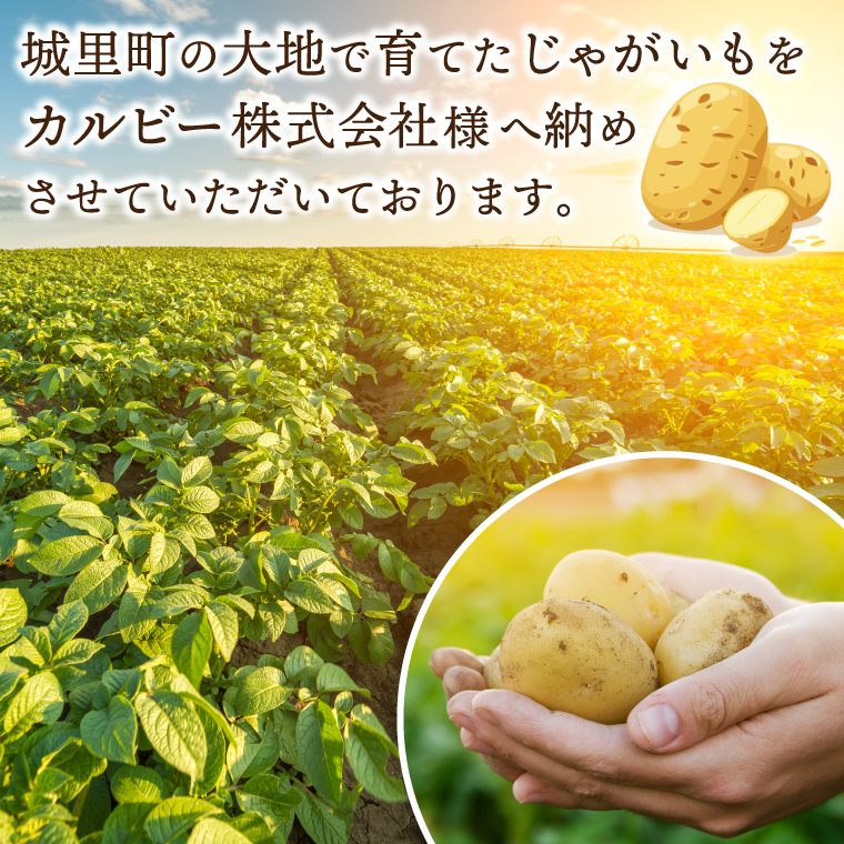 堅あげポテト カルビー 「うすしお味」 ポテトチップス 12袋(65g×12袋)1ケース 総計780g【ポテチ Calbee かたあげポテト うすしお うす塩 かたあげ しお セット 菓子 ポテト チ