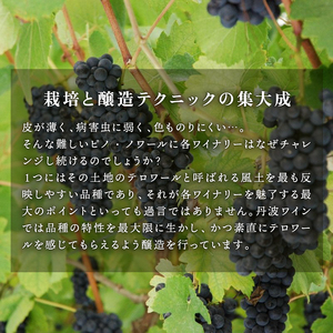 京都丹波産 ピノ・ノワール ヴィエイユ・ヴィーニュ 750ml 1本 丹波ワイン 希少 数量限定 国産ワイン ワイン 国内醸造 日本ワイン 赤ワイン ミディアムボディ ギフト 贈答 贈り物 プレゼント