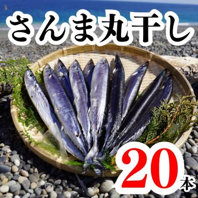 ふるさと納税 熊野市 さんま丸干し 20本 魚作商店 3代目の丸干し製法