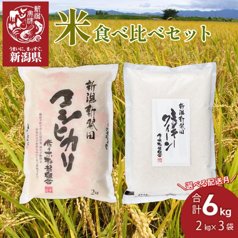 【ふるさと納税】 選べる配送月 お米 食べ比べ 特別栽培米 コシヒカリ 4kg ミルキークイーン 2kg 計6kg 令和7年産 新米 新潟 白米 ご飯 精米 玄米 おにぎり 弁当 個装 小分け プレゼント ギフト 贈答 のし 佐々木耕起 佐々木こうき 佐々木耕起組合 新潟県 新発田市 D07_02