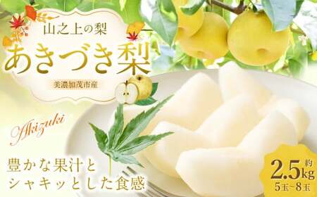 《先行予約》 「山之上果実農業協同組合」 山之上の梨 あきづき梨 1箱  約 2.5kg （ 5-8玉 ） 【2026年9月上旬-10月上旬 発送予定】