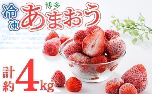 冷凍 博多あまおう (計約4kg) いちご イチゴ 苺 あまおう 冷凍いちご 冷凍イチゴ 国産 福岡県 果物 フルーツ アイス シャーベット ジャム スムージー 冷凍フルーツ ＜離島配送不可＞【ksg1745】【農産物直売所ほたるの里】