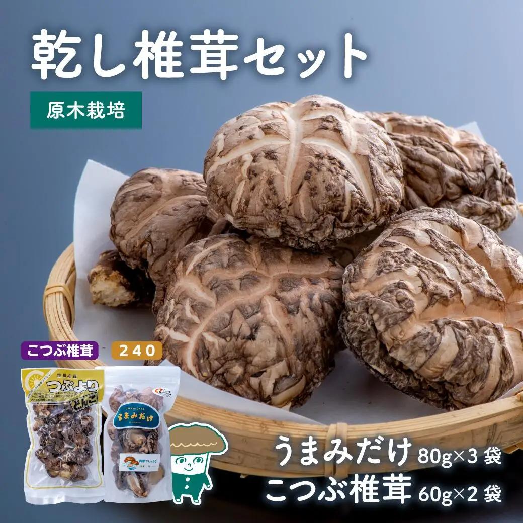 乾し椎茸セット360g【大分県新ブランドうまみだけ240、こつぶ椎茸】|豊後高田市 しいたけ