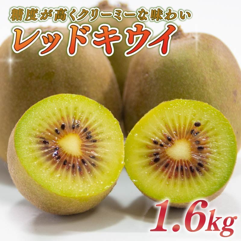 
                  【期間限定】レッドキウイ 1.6kg フルーツ 果物 スイーツ レッドキウイ キウイ きうい  果汁 くだもの きうい フルーツ スイーツ デザート レッド キウイ 果汁 果実 産地直送 農家直送 くだもの デザート おやつ おいしい 贈答用 ギフト プレゼント 贈答 国産 新鮮 キウイフルーツ 静岡キウイ 静岡きうい 牧之原きうい 牧之原キウイ 牧之原キウイフルーツ 落合農園 静岡県 牧之原市
                