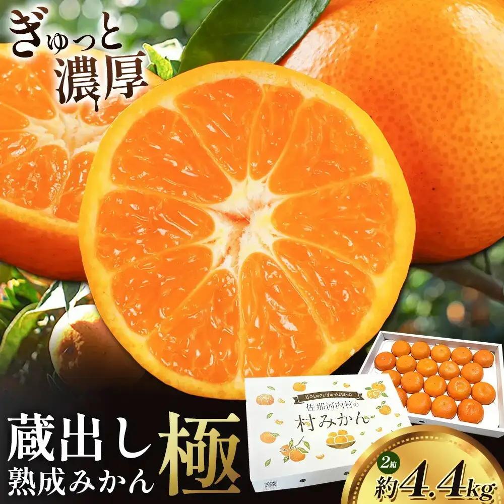 みかん 極 蔵出し熟成 2箱 みかん