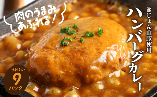 
                  【ご当地カレー】ハンバーグカレー 9パック - きじょん山豚ハンバーグ入り レトルトカレー 温めるだけ レトルト食品 湯煎調理 常温保存可能 簡易包装 お惣菜 ハンバーグ カレー_K16_0042_4
                