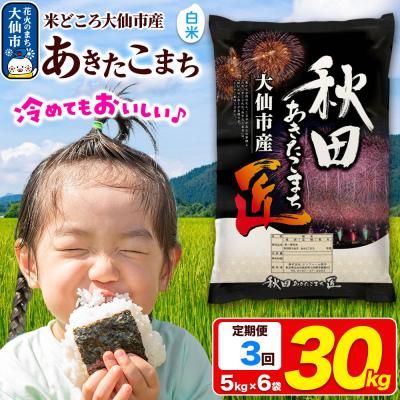 ふるさと納税 大仙市 《3ヶ月》米 あきたこまち【白米】30kg 令和7年産|22_snk-013003