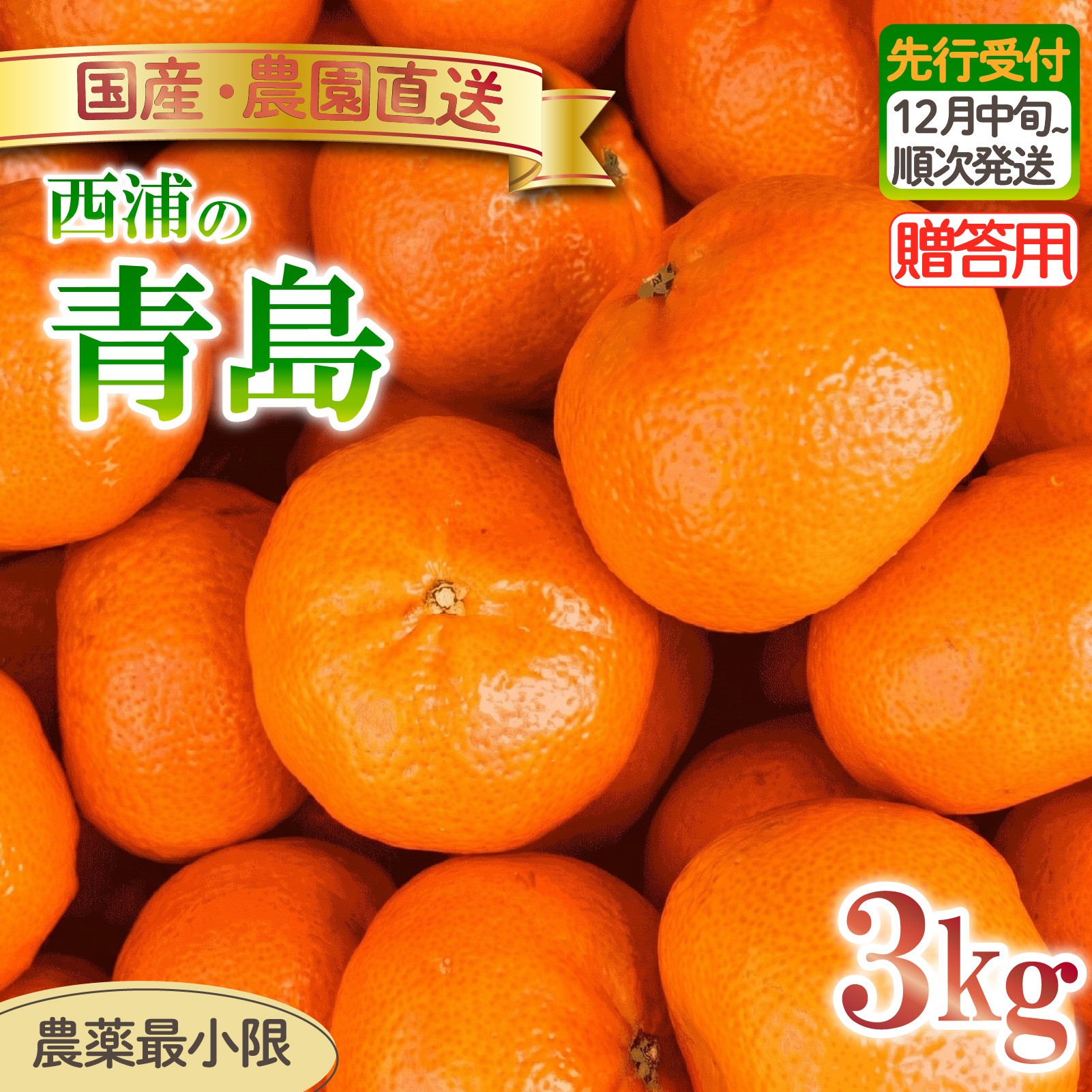 
                  青島 みかん 3kg 【贈答用】 木負観光みかん園 ミカン オレンジ 蜜柑 柑橘 フルーツ 旬 果物 国産 産地直送 季節限定 西浦 沼津市 静岡県 贈答 ギフト プレゼント 贈り物
                