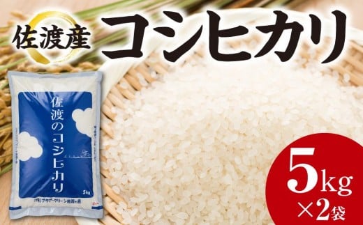 【令和7年産】佐渡産コシヒカリ　5kg×2袋