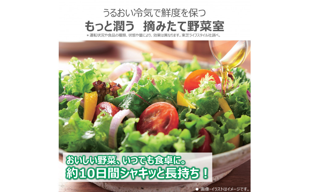 東芝　冷蔵庫【標準設置費込み】　551L　6ドア　両開き　冷凍冷蔵庫　GR-Y550FZ(ZH)
