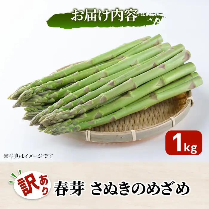 ＜先行予約！2027年3月上旬以降順次発送予定＞＜訳あり・家庭用＞春芽！アスパラガス「さぬきのめざめ」(約1kg) 香川県 国産 野菜 アスパラ 新鮮 冷蔵便 【man118】【Aglio nero】