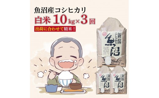
                  【３か月定期便】令和８年産新米　魚沼産コシヒカリ 精米10kg×3回　計30kg
                