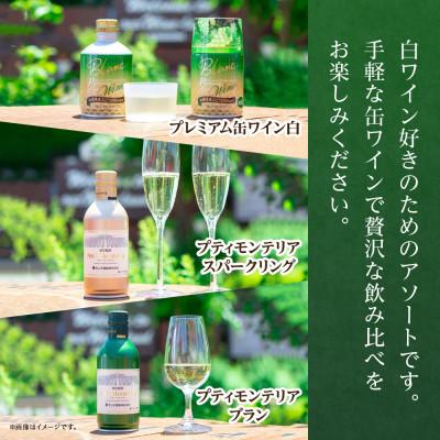 ふるさと納税 笛吹市 缶ワイン 白 5種 飲み比べ セット 12本入 モンデ酒造 山梨県 笛吹市 |  | 01