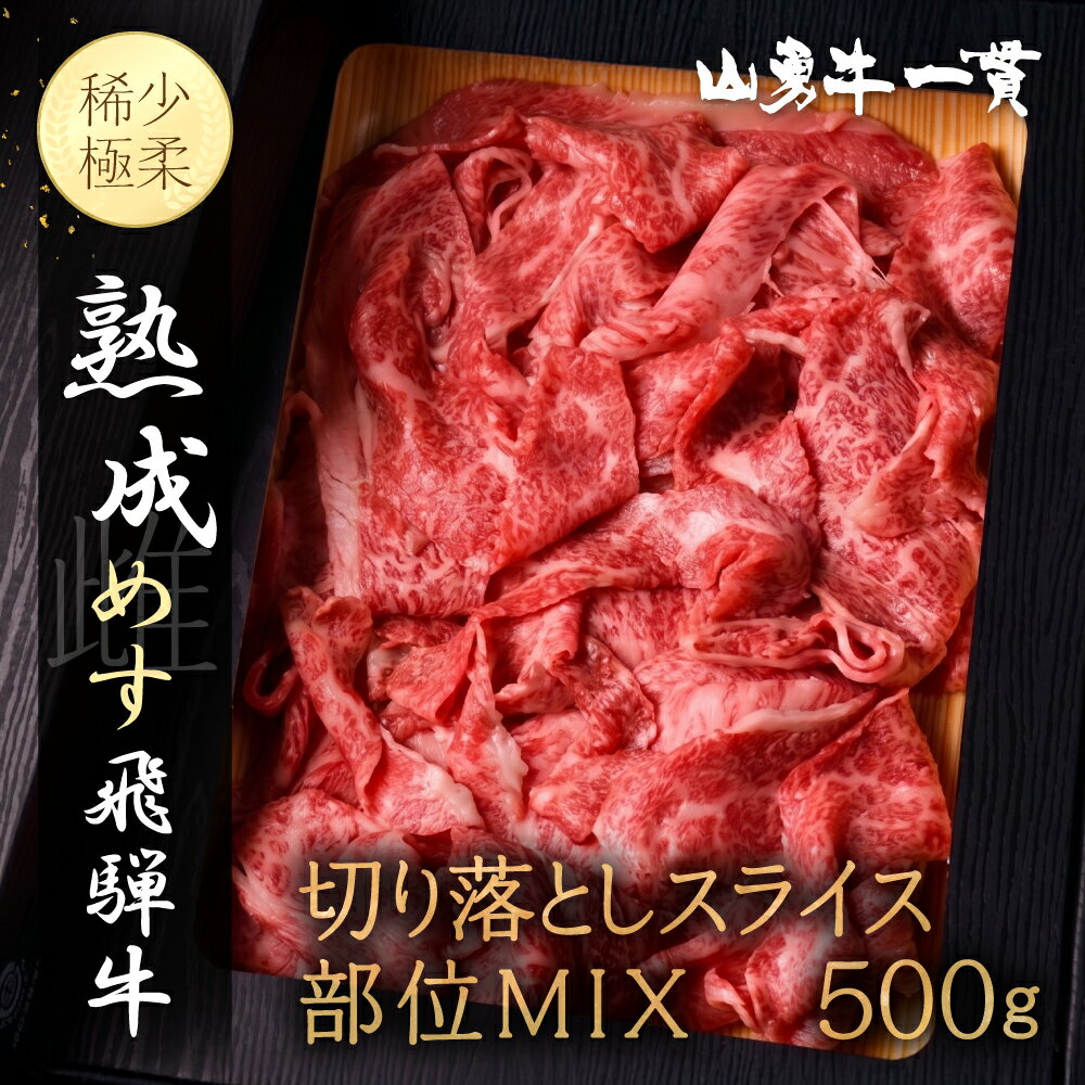 【ふるさと納税】山勇牛 切り落とし 500g 部位MIX 飛騨の牧場で育った熟成飛騨牛 『山勇牛』切落し 訳あり 訳アリ わけあり ワケアリ 不揃い 肉 熨斗掛け［D0027FZ］
