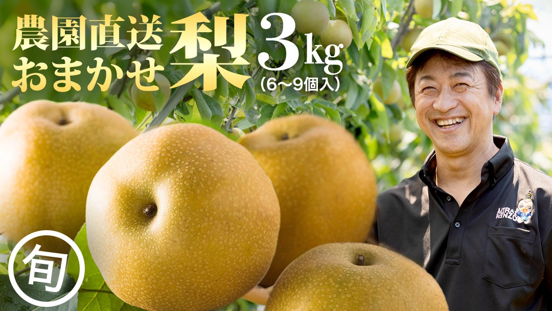 
                  農園直送！おまかせ 梨 3kg 【2026年7月下旬発送開始】 ナシ なし 果物 フルーツ デザート 秋  茨城県 はつまる 夏しずく 幸水 豊水 あきづき 恵水 甘太 にっこり
                