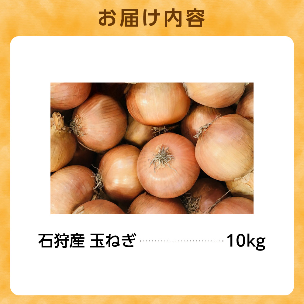 石狩産 玉ねぎ10kg【9月～11月発送】_is005-025-000
