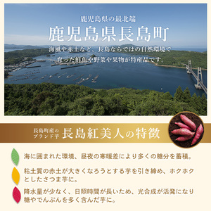 鹿児島県産さつまいも使用 ロイヤルのスイートポテト(6個)  スイートポテト 鹿児島 さつまいも菓子 スイーツ お菓子 おやつ 【ロイヤル】royal-1657