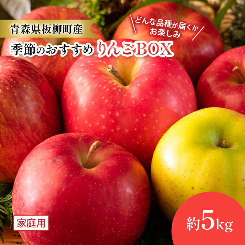 【ふるさと納税】【どんな品種が届くかお楽しみ】季節のおすすめりんごBOX/家庭用/詰め合わせ/約5kg　青森県　りんご　リンゴ　林檎　フルーツ　くだもの　果物　お届け：2025年9月下旬～2026年1月下旬まで
