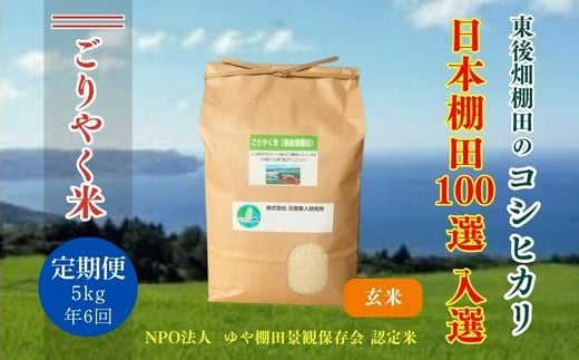 
                  令和7年度産 ごりやく米 東後畑棚田こしひかり 玄米 5kg 定期便 年6回 毎月配送 棚田米 長門市 コシヒカリ こしひかり
                