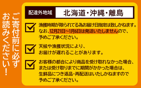 【先行予約】【訳あり】 越前がに 合計1kg以上（2～3杯）【11月～3月発送】