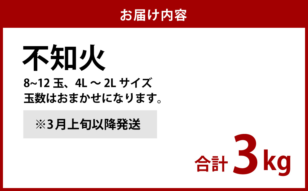 不知火 約3kgセット 柑橘 かんきつ しらぬい 先行予約【2025年3月上旬以降発送】