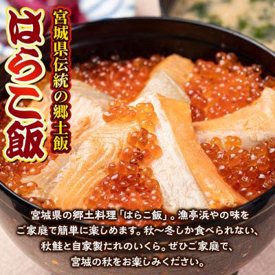 ふるさと納税 名取市 みやぎ飯【宮城県郷土料理】はらこ飯 3人前|21_hmy-220301 |  | 01