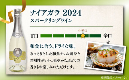 スパークリングワイン ナイアガラ2024 マスカット ぶどう 家飲み 酒 お酒 ワイン 五島市/五島ワイナリー[PAG032]