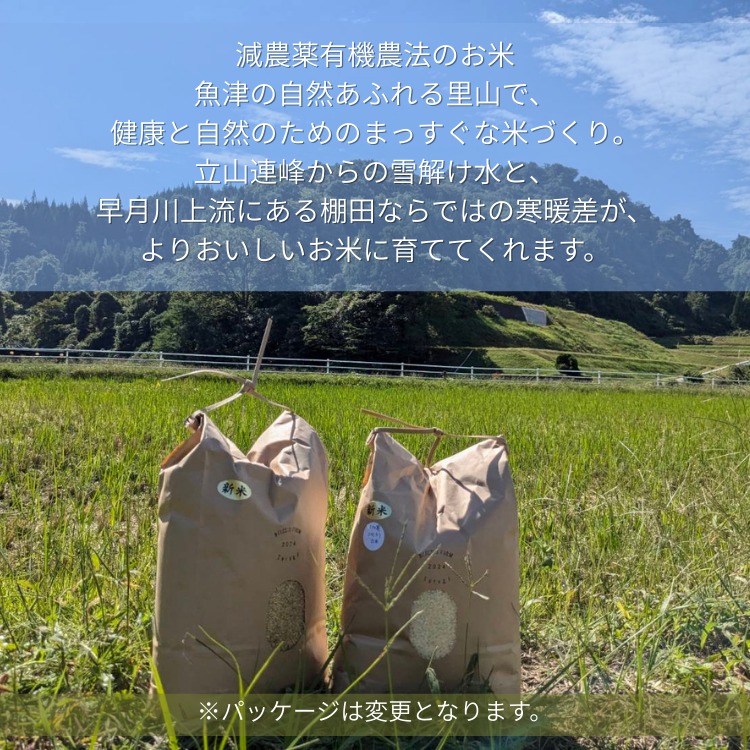 令和7年産 環境保全米コシヒカリ 玄米10kg ※北海道・沖縄・離島への配送不可