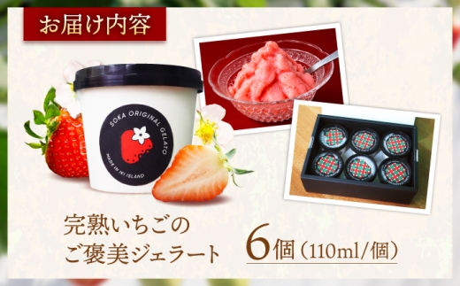 いちご農家が作る！完熟いちごのご褒美ジェラート 6個セット 《壱岐市》【蒼花】 アイス お菓子 いちご イチゴ 苺 ストロベリー ジェラート ソルベ いちごアイス 苺アイス ストロベリーアイス [JE