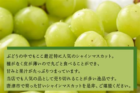 『先行予約』【7月下旬発送予定】甘みがギュッ!と詰まったシャインマスカット 2kg (約3～5房) 化粧箱 フルーツ 果物 ギフト
