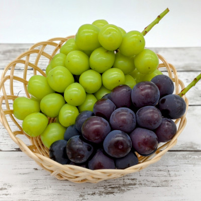 シャインマスカットと旬のぶどう（2種類もしくは1種類）約2kg