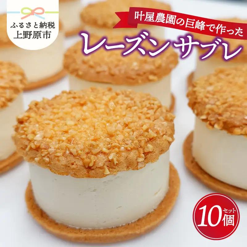 叶屋農園の巨峰で作ったレーズンサブレ10個入り