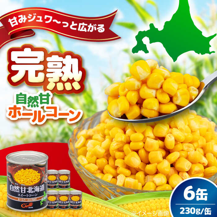 【ふるさと納税】北海道産 自然甘ホールコーン 6缶 《喜茂別町》【きもべつ観光協会】 コーン コーン缶 とうもろこし トウモロコシ 缶 缶詰 北海道 常温 常温配送 [AJAG020] 5000 5000円