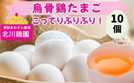 烏骨鶏 たまご 10個『北川鶏園 房総のあおぞら農場』｜卵 玉子 タマゴ ブランドたまご 産みたて 新鮮 プレミアム うこっけい [0249ch]