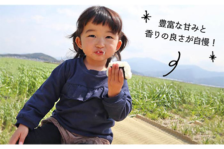 【 栽培期間中農薬不使用 】米 旋風 ヒノヒカリ 10kg（ 5kg×2袋 ）《糸島》【百笑屋】 [ABF004] 米 お米 白米 精米 ひのひかり