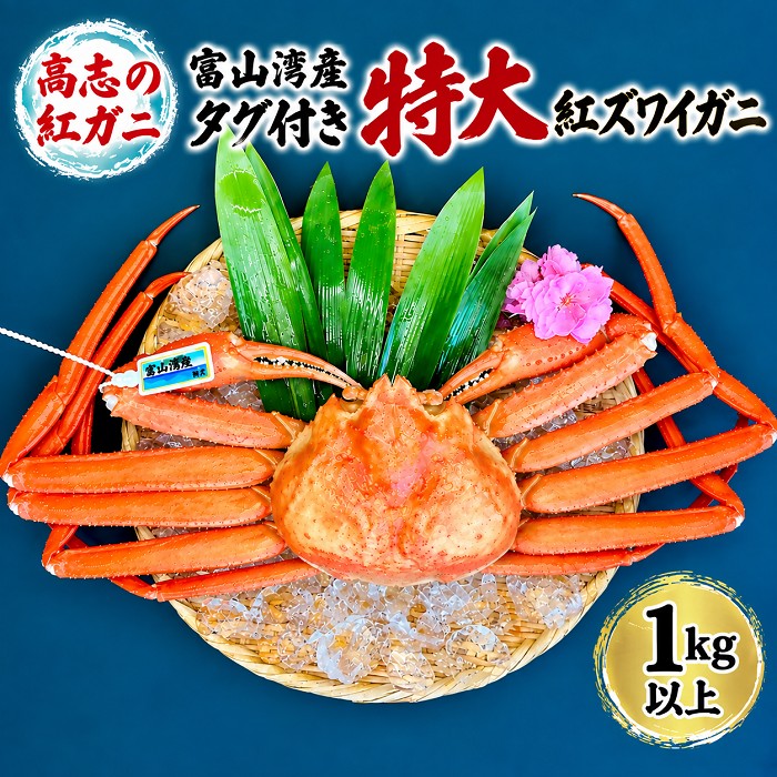 厳選! 高志の紅ガニ 富山湾産タグ付き特大紅ズワイガニ 1kg