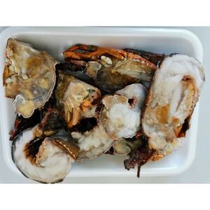 (お試し)冷凍伊勢海老カット【サイズ不揃い 約1kg】【配送不可地域：離島】【1245982】