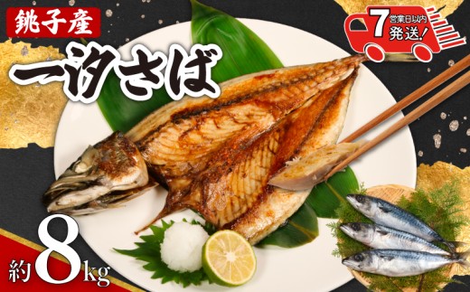 【 スピード配送 】 銚子産 一汐さば 8kg 銚子港 国産 塩鯖 さば 鯖 さばフィーレ 鯖フィーレ さばフィレ 鯖フィレ 新鮮 鮮度抜群 切り身 切身 無添加 添加物不使用 小分け 個別冷凍 お弁当 惣菜 おかず 塩焼き 焼きさば 味噌煮 調理用 料理 冷凍 冷凍品 長期保存 お取り寄せ グルメ 魚 大容量 ギフト ふるさと納税 ふるさと納税さば 送料無料 千葉県 銚子市 エドノフーズ